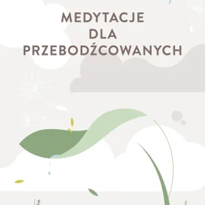 Do wyczerpania zapasów Medytacje dla przebodźcowanych