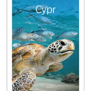 Cypr. Travelbook wyd. 5 Cena promocyjna