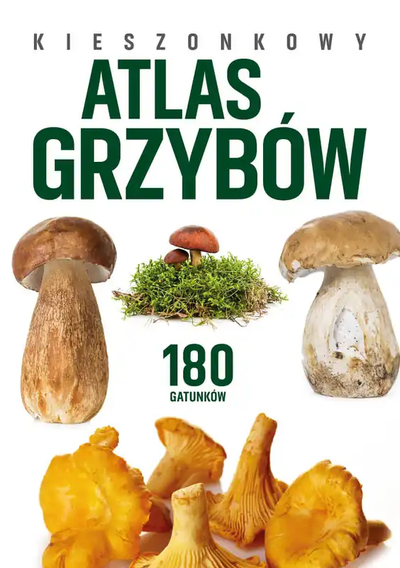Kieszonkowy atlas grzybów. 180 gatunków Wyprzedaż