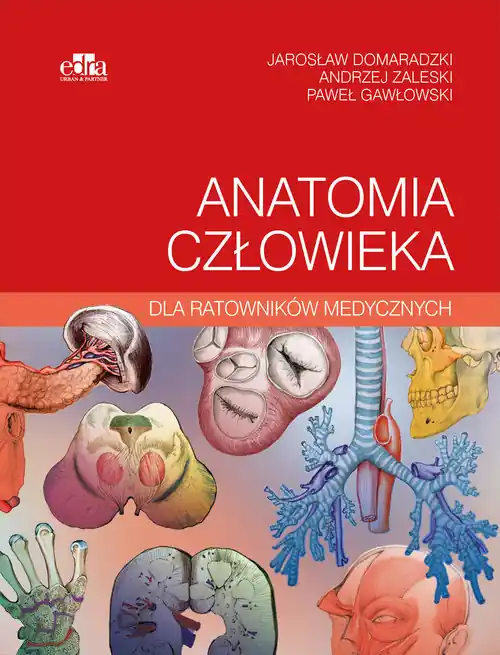 Sprawdź teraz Anatomia człowieka dla ratowników medycznych