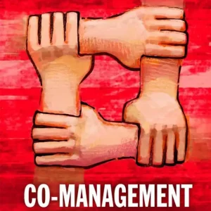 Kup online Co-management jako czynnik rozwoju...