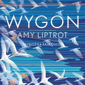Oferta czasowa Wygon