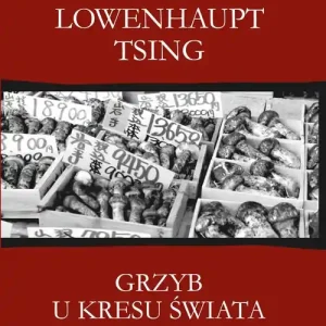 Grzyb u kresu świata Ostatnie sztuki