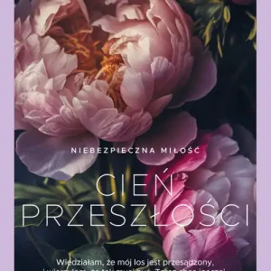 Kup online Cień przeszłości Wielkie Litery