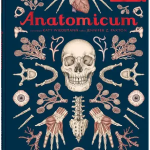 Anatomicum. Muzeum Anatomii Obniżka ceny