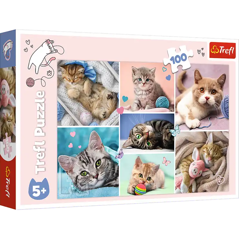 Kup online Puzzle 100 W kocim świecie 16420